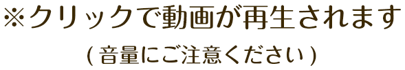 ※クリックで動画が再生されます(音量にご注意ください)