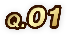 Q.01