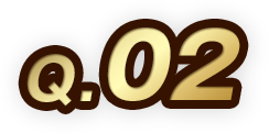 Q.02
