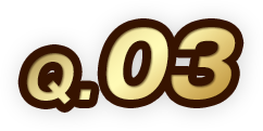 Q.03
