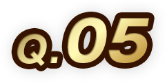 Q.05