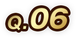 Q.06