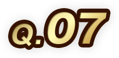 Q.07