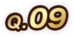Q.09