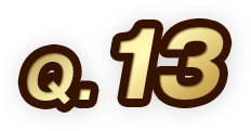 Q.13