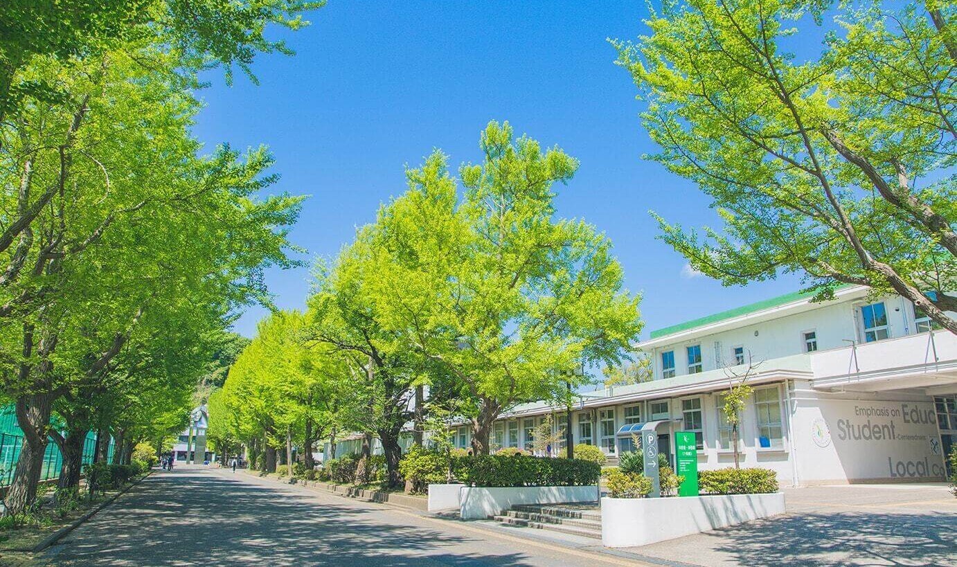 横浜市立大学が手がけるデータサイエンティスト育成プログラム D Step の魅力とは Hop ナビ転職 横浜市立大学が手がけるデータサイエンティスト育成プログラム D Step の魅力とは Hop ナビ転職