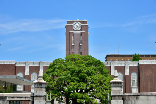 大学薬学部